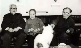 巴金家在线观看,经典名著在线重温，感受文学巨匠的深刻魅力